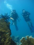 Paket Diving Karimunjawa