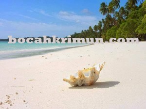 Wisata Karimunjawa